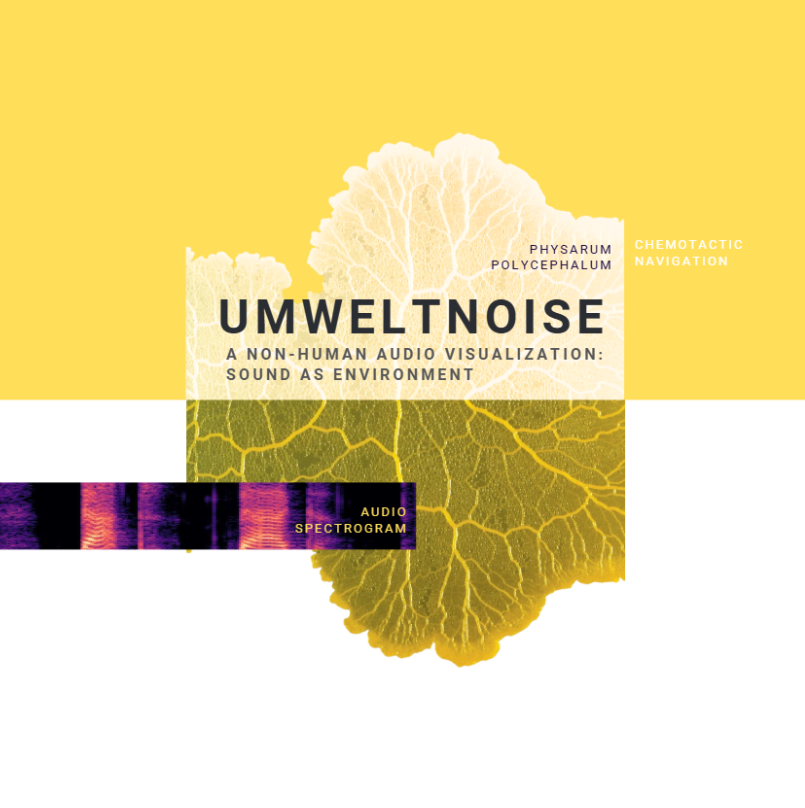 UMWELTNOISE